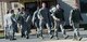 Airmen prepare to depart Barksdale Air Force Base, La., Oct. 22, 2016, in support of U.S. Strategic Command exercise Global Thunder 17. Exercise Global Thunder is USSTRATCOM’s annual field training and battle staff exercise to train Department of Defense forces and assess joint operational readiness. Global Thunder 17 provided training opportunities to and exercise scenarios for all USSTRATCOM mission areas, with a specific focus on nuclear readiness. (U.S. Air Force photo/Senior Airman Curt Beach)