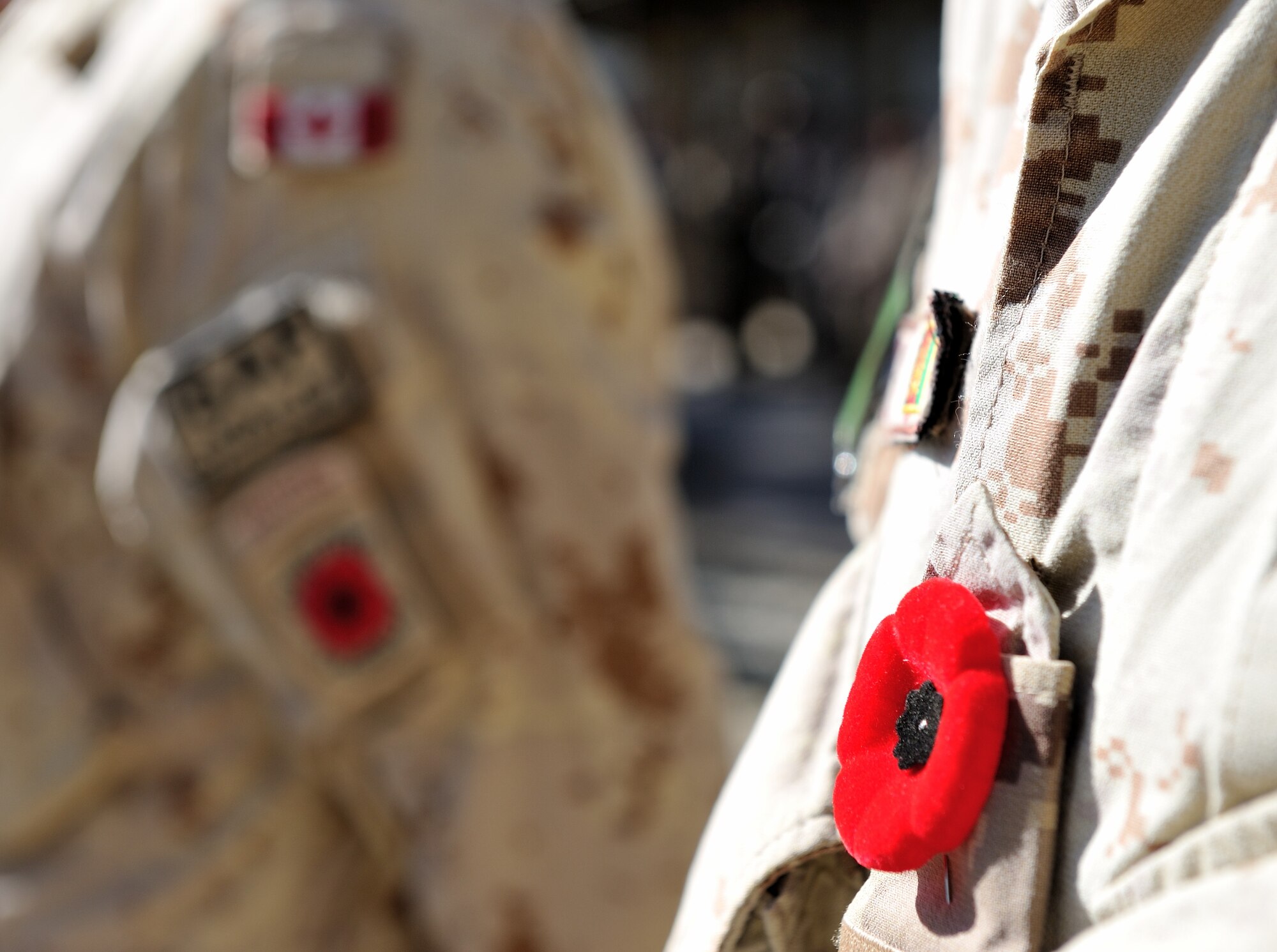 A poppy is pinned on a Canadian Armed Forces soldier’s uniform at the final Remembrance Day ceremony held by Canadian soldiers in Afghanistan on November 11, 2013. (Canadian Forces Combat Camera photo by Sgt Norm McLean/Released)