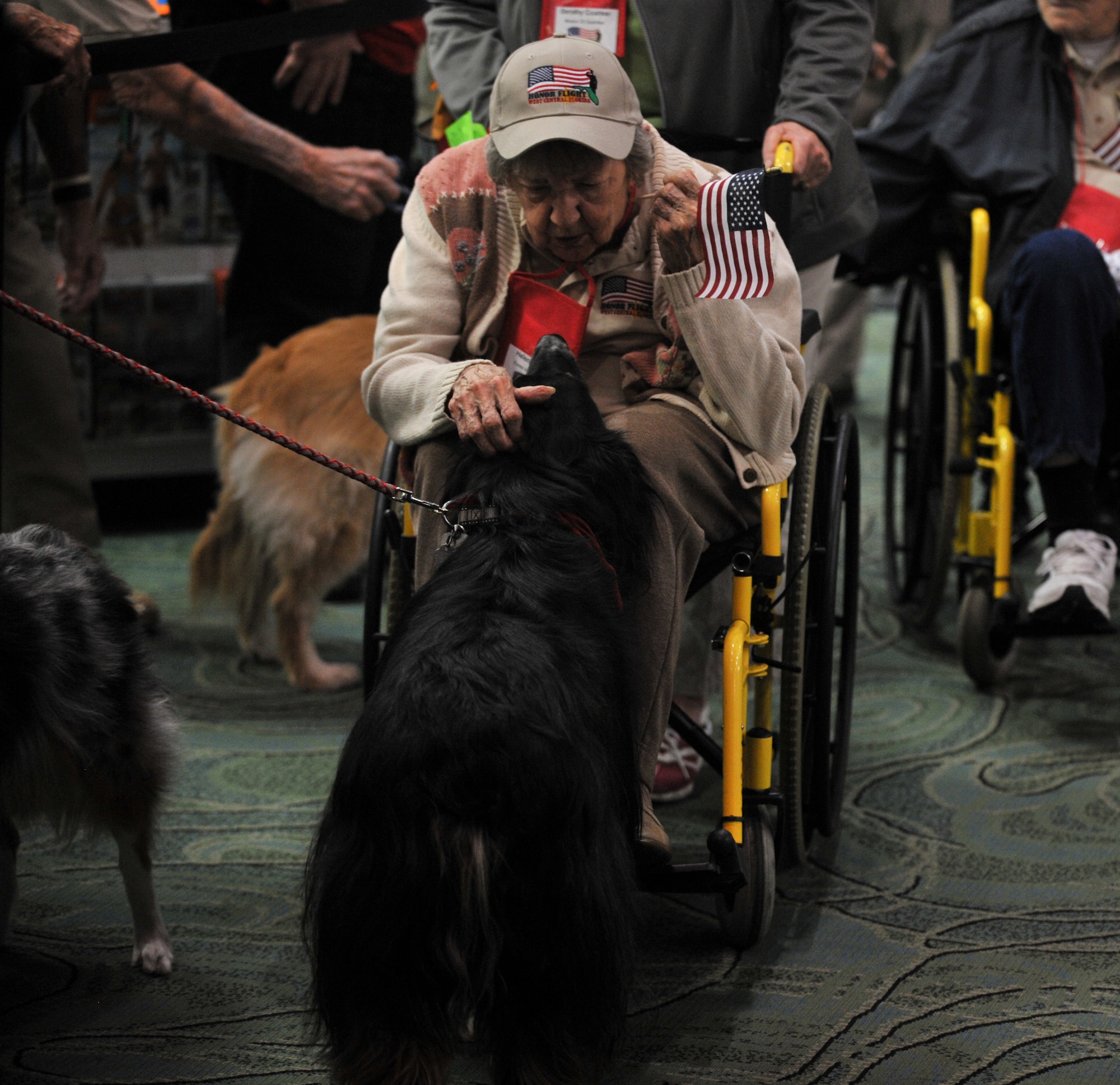 A veteran stops to play with a dog after arriving at the St. Pete-Clearwater International Airport Nov. 1, 2016. The Honor Flight of West Central Florida organization brought service dogs to greet veterans after they returned from their trip to Washington D.C. 