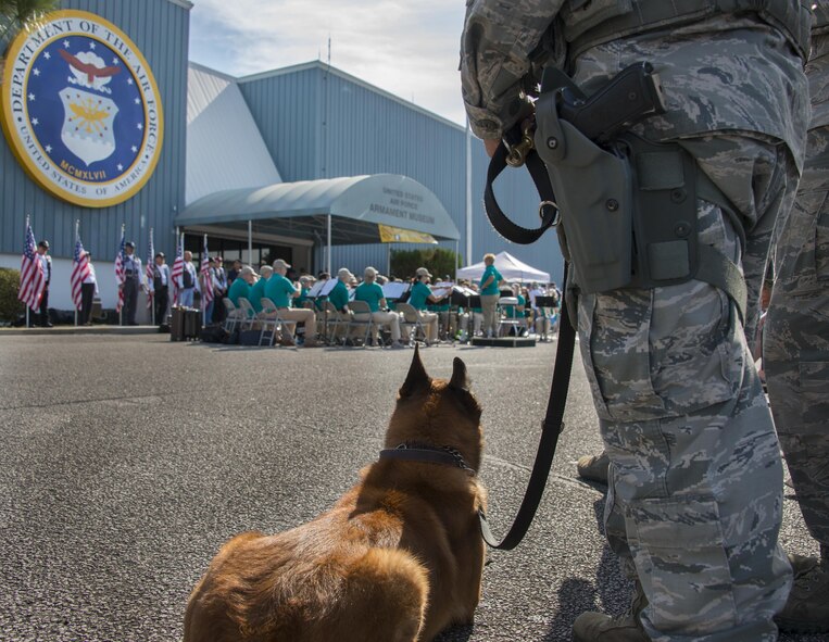Military working dog, Rex, keeps a watchful eye on the festivities with his handler, Staff Sgt. Matthew Helma, 96th Security Forces Squadron, Nov. 5 at Eglin Air Force Base, Fla. The Air Force Armament Museum hosted the Northwest Florida 50th Vietnam War Commemoration Celebration event to honor veterans’ service and sacrifices. Event activities included a military working dog demonstration, explosive ordnance removal robots, Army Ranger reptile display, a speaker’s panel and an AC-130 tour. (U.S. Air Force photo/Kristin Stewart)