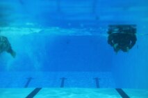 U.S. Army Soldiers dive into the pool for the 100-meter swim during the German Armed Forces Badge for military Proficiency event at Joint Base Langley-Eustis, Va., Nov. 2, 2016.  The 100-meter swim in uniform is one of six GAFPB events and must be completed within four minutes. (U.S. Air Force photo/Tech Sgt. Daylena S. Ricks)