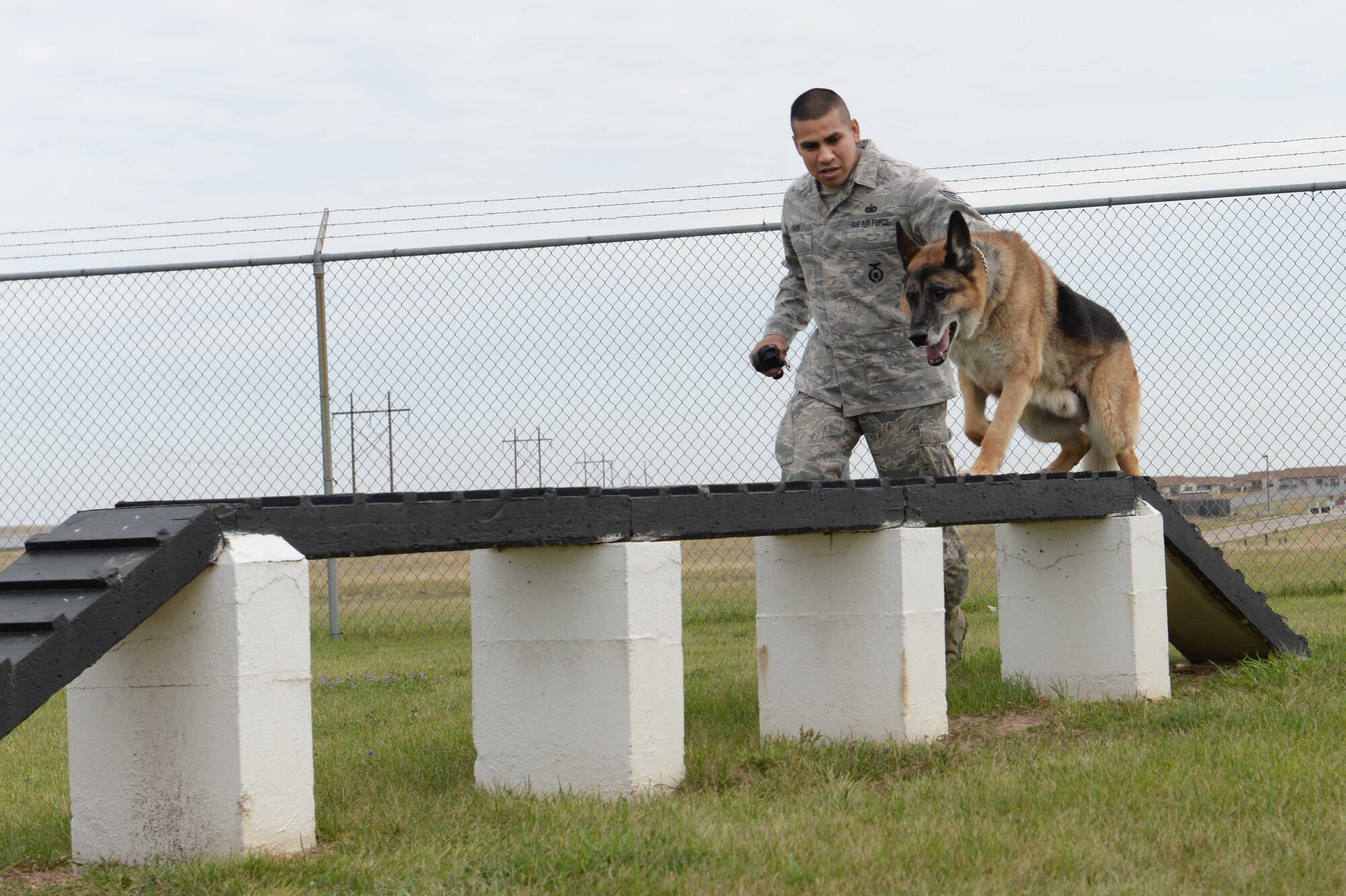 Staff Sgt. Michael Gwin, a military working dog handler assigned to the 28th Security Forces Squadron, runs Rex, a military working dog assigned to the 28th SFS, through an obstacle course at Ellsworth Air Force Base, S.D., Oct 9, 2015. MWD’s undergo constant training to ensure they are fit to fight anytime anywhere. (U.S. Air Force photo by SrA Rebecca Imwalle)