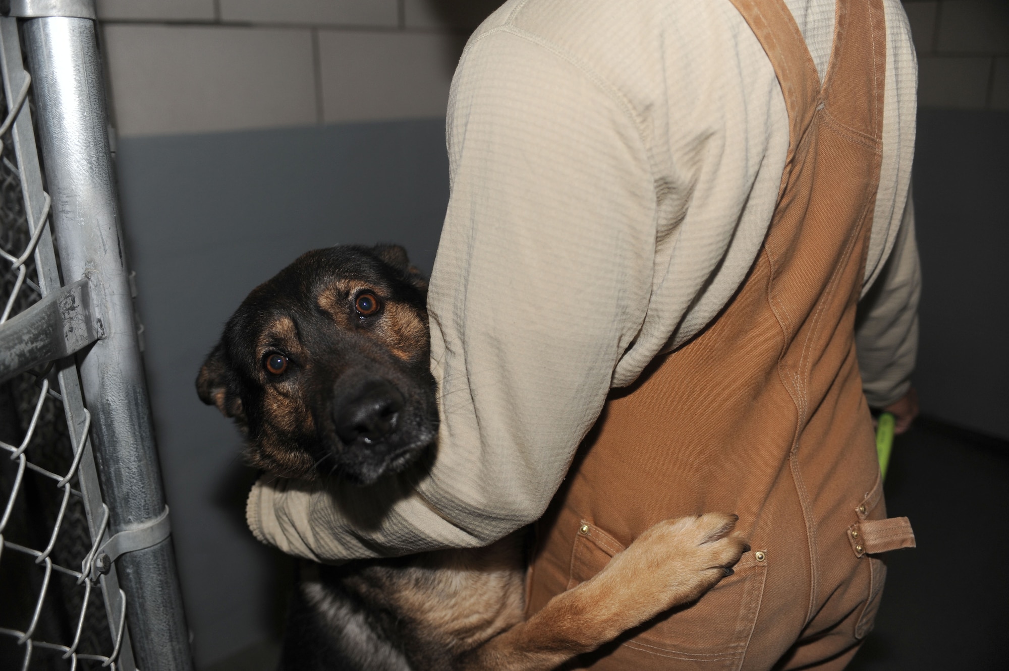 Batu, a military working dog assigned to the 28th Security Forces Squadron, clings to his handler while his kennel is cleaned at Ellsworth Air Force Base, S.D., Oct. 15, 2015. For health and safety purposes, kennels are sanitized every four hours and thoroughly cleaned at least once a week. (U.S. Air Force photo by Airman Sadie Colbert)