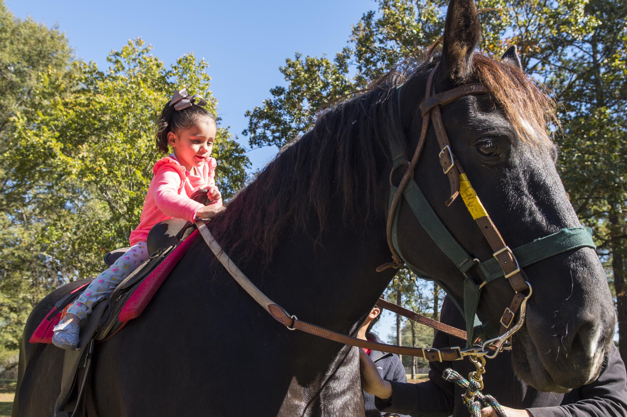 The daughter of Senior Airman Karena Quiroz, 4th Fighter Wing command support staff, rides a horse during an annual Military Family Appreciation event, Nov. 5, 2016, at Seymour Johnson Air Force Base, North Carolina. Various helping agencies such as Military OneSource, Airmen Against Drunk Driving, the Health and Wellness Center and multiple local businesses also had booths set up during the event to educate members on the resources and benefits available to them all year. (U.S. Air Force photo by Airman Shawna L. Keyes) 