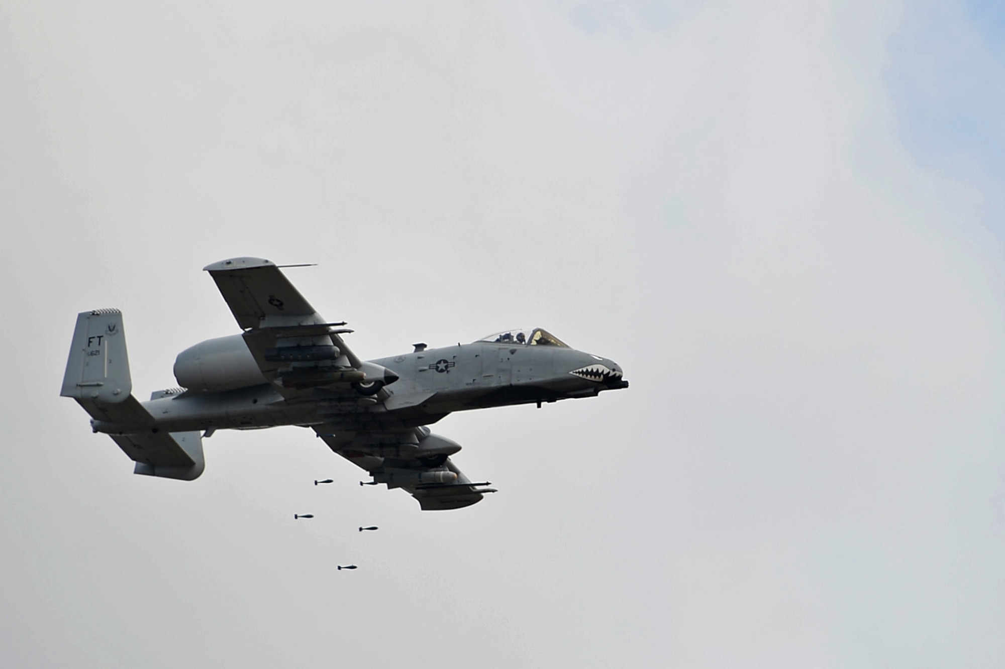 An A-10C Thunderbolt II assigned to the 76th Fighter Squadron at Moody Air Force Base, Ga., releases bomb dummy units during an East Coast Airpower Demonstration at Poinsett Electronic Combat Range, Wedgefield, S.C., Oct. 27, 2016. A-10s serve combatant commanders downrange by providing close-air support, which aids in troop movement by clearing a safe path. (U.S. Air Force photo by Airman 1st Class Christopher Maldonado) 