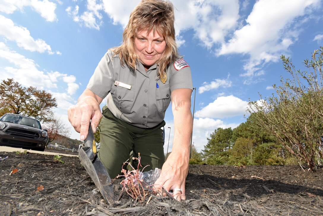 Park Ranger Dina Henninger, an environmental protection specialist in the Operations Division at the U.S. Army Corps of Engineers Nashville District’s Cheatham Lake in Ashland City, Tenn., works in a pollinator garden at Cheatham Lake Nov. 2, 2016.  The Nashville District has announced she is the Employee of the Month for September 2016 for organizing a successful National Public Lands Day event Oct. 1 at Cheatham Lake where 60 busy-bee volunteers established new pollinator gardens outside the resource manager’s office.