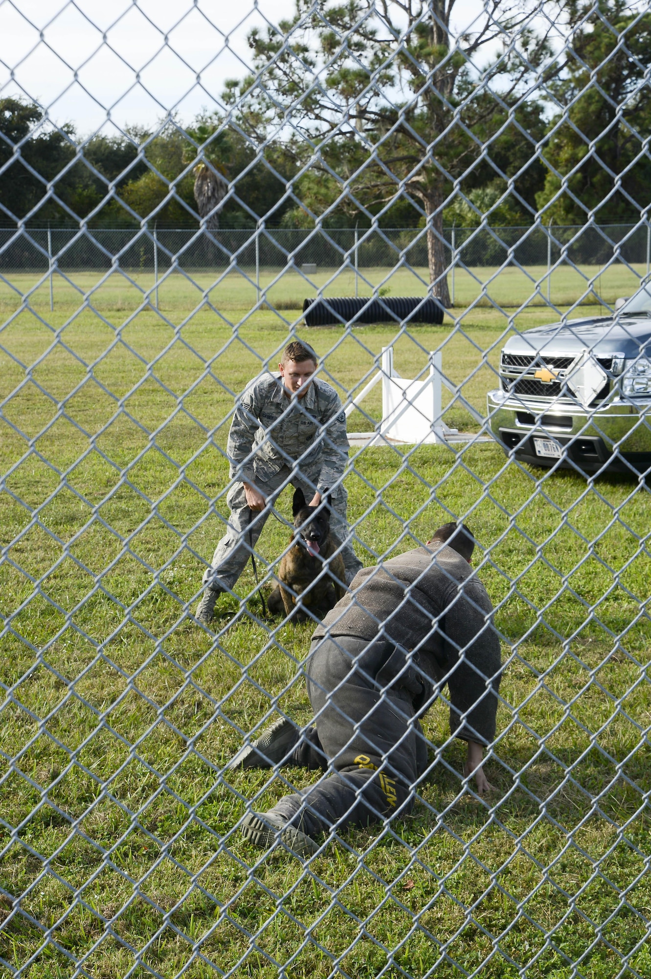 Staff Sgt. Jennings Casey, a military working dog (MWD) handler assigned to the 6th Security Forces Squadron (SFS), performs a MWD demonstration with Branco, a MWD assigned to  the 6th SFS, during an immersion, Nov. 7, 2016 at MacDill Air Force Base, Fla. Training is needed for the MWDs to ensure constant obedience and mission readiness. (U.S. Air Force photo by Senior Airman Jenay Randolph)