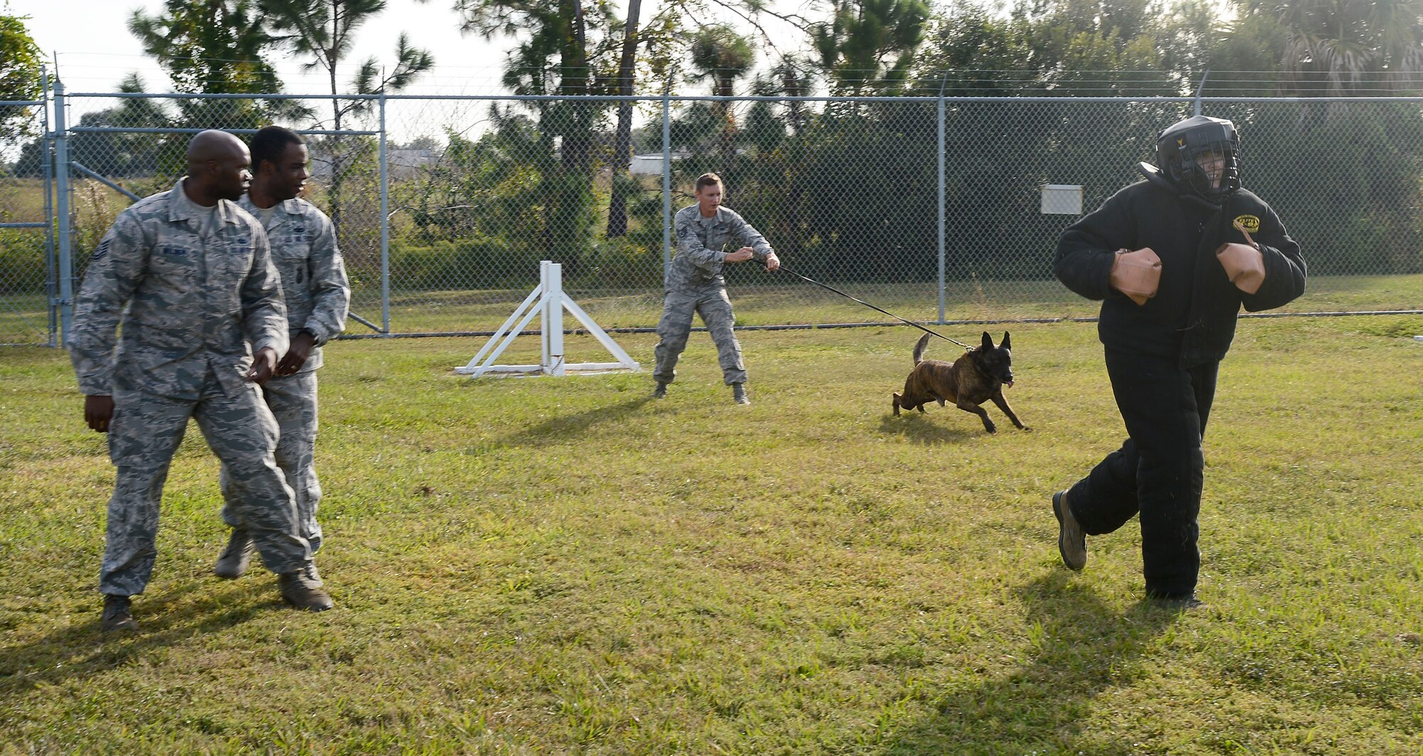 Col. April Vogel, commander of the 6th Air Mobility Wing, runs from Branco, a military working dog (MWD) assigned to the 6th Security Forces Squadron, during a demonstration, Nov. 7, 2016 at MacDill Air Force Base, Fla. While visiting the MWD section, Vogel was briefed on daily tasks, given a tour of the facility and acted as a decoy in a MWD demonstration. (U.S. Air Force photo by Senior Airman Jenay Randolph)  