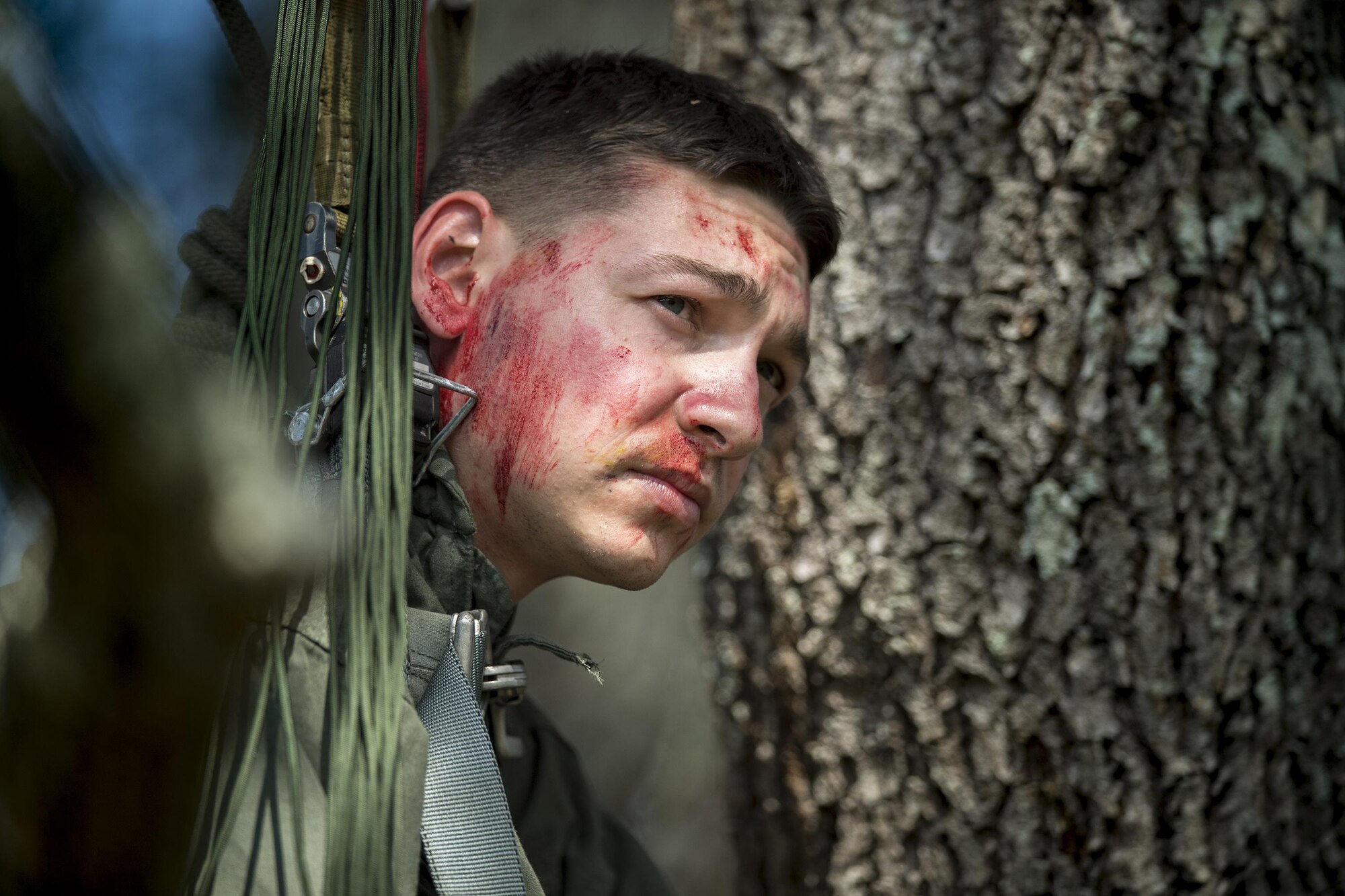 Senior Airman Joshua Barich, 337th Air Control Squadron weapons technician, hangs in a tree to simulate a rescue victim who is stuck, Nov. 2, 2016, in Marianna, Fla. Pararescuemen had to climb the tree, lower Barich down and then assess his condition as part of the rapid-rescue exercise. (U.S. Air Force photo by Tech. Sgt. Zachary Wolf)