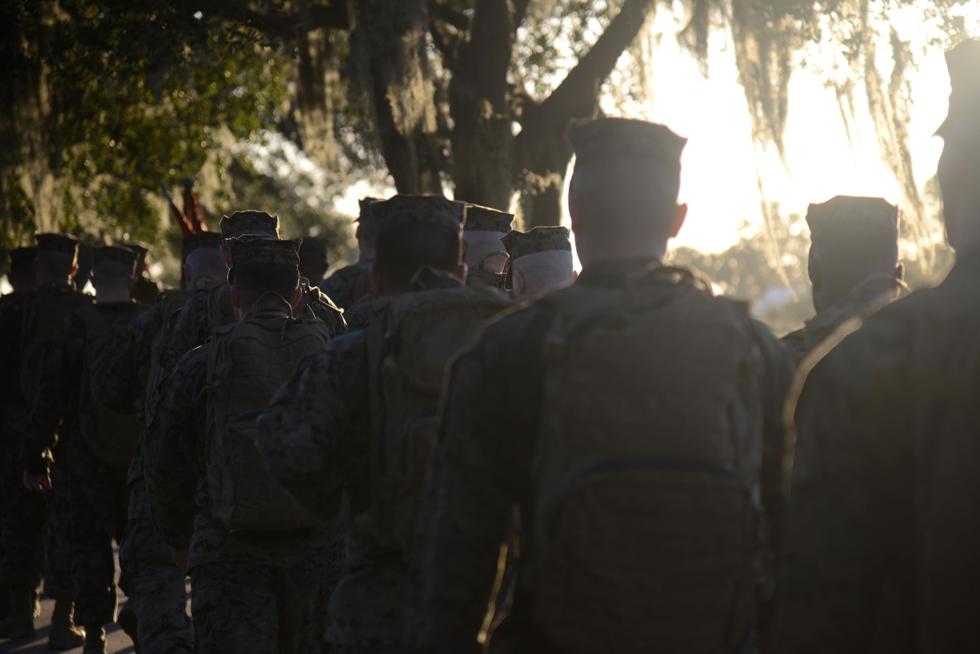 Marines assigned to the U.S. Marine Corps Forces Central Command embarked on a 12-mile hike to honor the U.S Marine Corps during the 241st birthday at MacDill Air Force Base, Fla., Nov. 10, 2016. Marines gathered and began marching at 5:30 a.m. and finishing at 9:30 a.m. (U.S. Air Force Photo by Airman 1st Class Rito Smith)