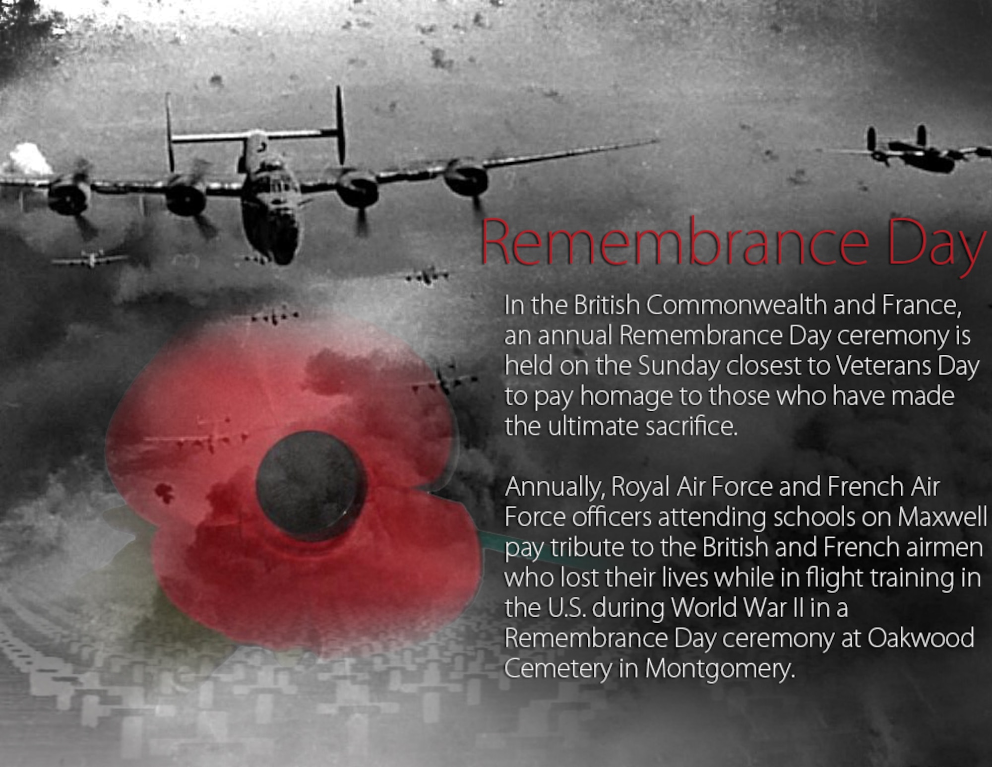 Remembrance Day 