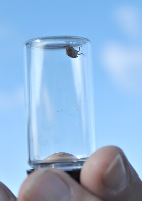 Volunteer John Lee grips a glass vial containing an insect he captured in the Scissortail Trail recreation area on the the west side of Tinker Air Force Base, Okla.. (Air Force photo by John Parker)