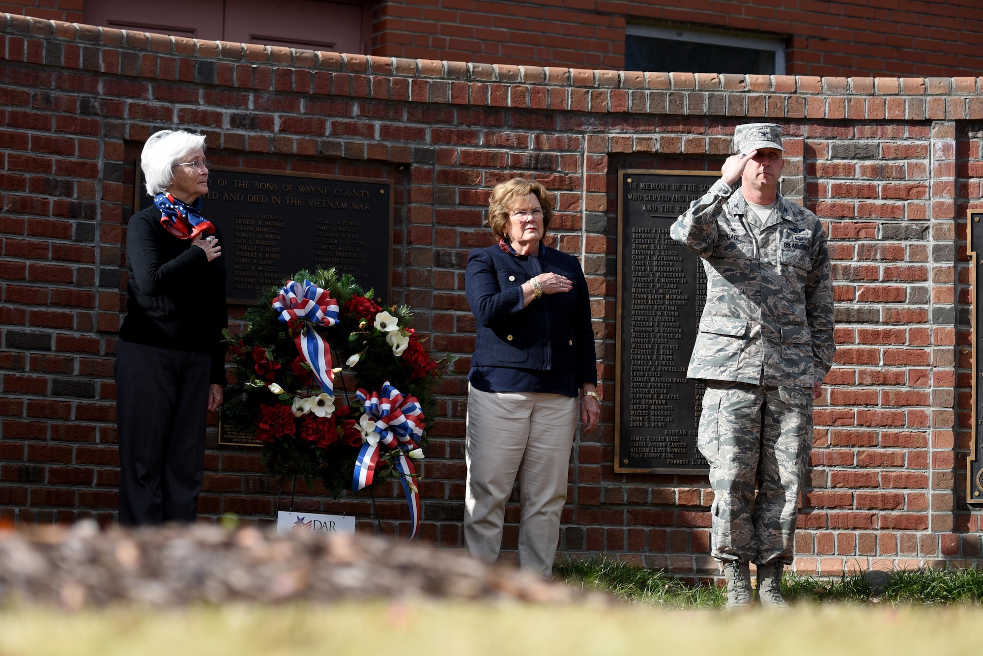 Col. Christopher Sage, 4th Fighter Wing commander, renders a salute during a wreath laying ceremony, Nov. 11, 2016, in Goldsboro, North Carolina. Sage showed his respect to the sacrifice of America's veterans by placing a wreath at the Wayne County Veterans Memorial. (U.S. Air Force photo by Airman 1st Class Kenneth Boyton)