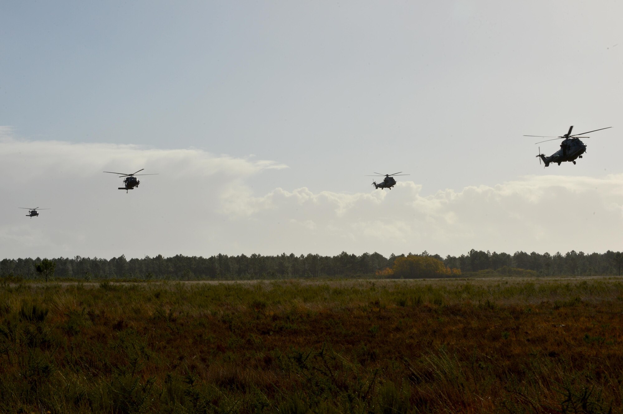 Two U.S. Air Force HH-60G Pave Hawks assigned to the 56th Rescue Squadron at Royal Air Force Lakenheath, England, fly in formation with two French air force EC-725 Caracals assigned to the 1/67 Pyrénées Squadron, Nov. 9 during Exercise Salamander at Cazaux Air Force Base, France. Both Pave Hawk helicopters and approximately 100 Airmen from the 56th and 57th RQSs are involved in the joint training exercise with French air force members and helicopters. (U.S. Air Force photo/Master Sgt. Eric Burks)
