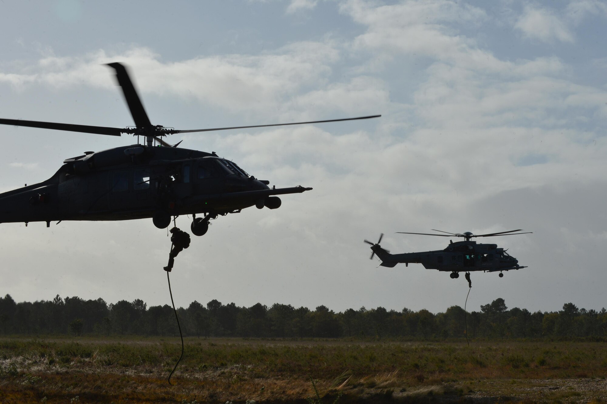 French commandos from parachutiste de l'air no 30 (CPA 30) fast rope from a U.S. Air Force HH-60G Pave Hawk assigned to the assigned to the 56th Rescue Squadron at Royal Air Force Lakenheath, England, and a French air force EC-725 Caracal assigned to the 1/67 Pyrénées Squadron, Nov. 9 during Exercise Salamander at Cazaux Air Force Base, France. The commandos partnered with U.S. Air Force Guardian Angel team members from the 57th RQS at RAF Lakenheath and members from both units flew in French and U.S. Air Force helicopters during the exercise. (U.S. Air Force photo/Master Sgt. Eric Burks)