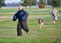 Historian of the 932nd Airlift Wing, Master Sgt. Gerald Sonnenberg, makes his best effort to run away from the security forces and their canine during a special 932nd Airlift Wing Boss Day event November 5, 2016 at Scott Air Force Base, Ill.  This simulation provided employers of Air Force Reserve Command reservists with a close up look at how dogs are trained to help maintain security at bases.  They also toured medical, maintenance, operations, weather, and civil engineering areas in the annual program created by the unit public affairs office.  (U.S. Air Force photo by Tech. Sgt. Christopher Parr)