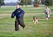 Historian of the 932nd Airlift Wing, Master Sgt. Gerald Sonnenberg, makes his best effort to run away from the security forces and their canine during a special 932nd Airlift Wing Boss Day event November 5, 2016 at Scott Air Force Base, Ill.  This simulation provided employers of Air Force Reserve Command reservists with a close up look at how dogs are trained to help maintain security at bases.  They also toured medical, maintenance, operations, weather, and civil engineering areas in the annual program created by the unit public affairs office.  (U.S. Air Force photo by Tech. Sgt. Christopher Parr)