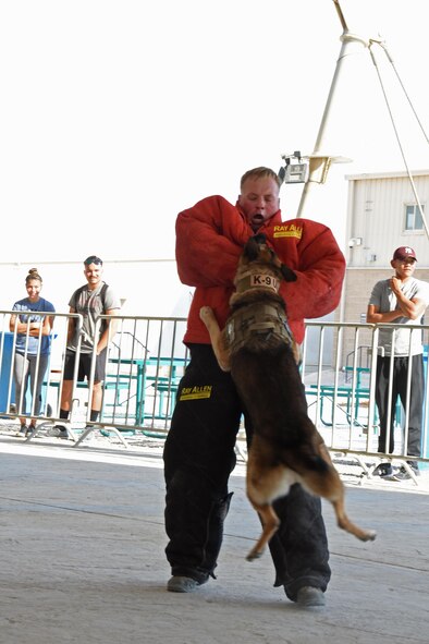 Satie, a U.S. Air Force military working dog, locks onto the chest of U.S. Air Force Tech. Sgt.  Adam Klockziem, a dog handler with the 379th Expeditionary Security Forces Squadron MWD section, during a Veterans Day MWD demonstration at Al Udeid Air Base, Qatar, Nov. 11, 2016. Military working dogs are trained to bite anywhere on the body to ensure a fast arrest. (U.S. Air Force photo by Senior Airman Cynthia A. Innocenti)