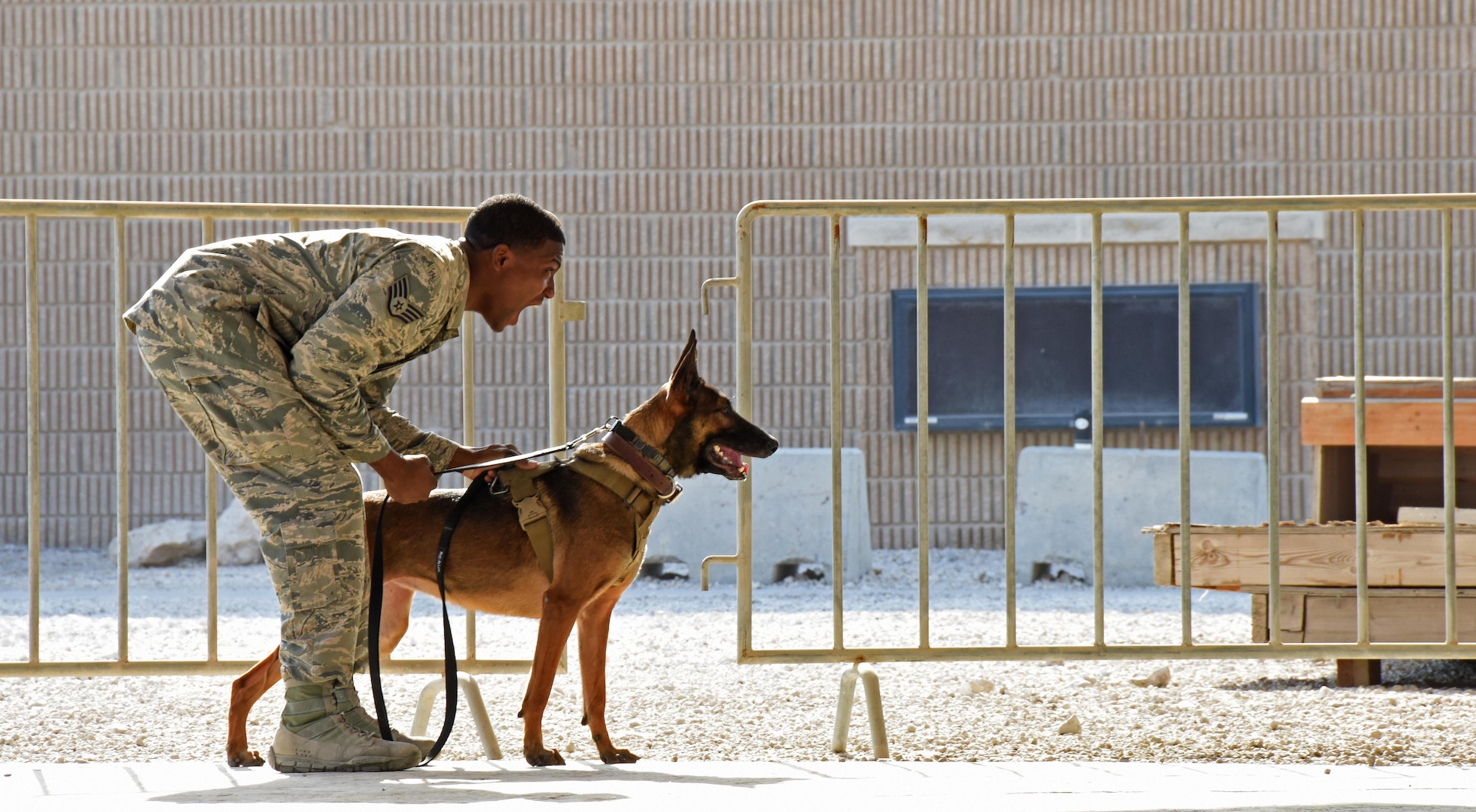 U.S. Air Force Staff Sgt. Mathis Williams, a dog handler with the 379th Security Forces Squadron military working dog section, shouts instructions to an Airman acting as a decoy during a Veterans Day MWD demonstration at Al Udeid Air Base, Qatar, Nov. 11, 2016. The building search demonstration performed here is a common training exercise utilized by MWD Airmen to maintain their canine’s capabilities. (U.S. Air Force photo by Senior Airman Cynthia A. Innocenti)