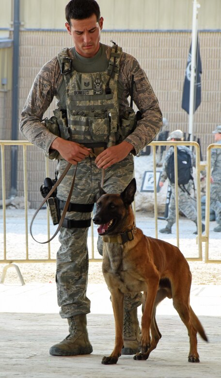 U.S. Air Force Tech. Sgt. Nicholas Bonello, a dog handler with the 379th Expeditionary Security Forces Squadron MWD section, readies his dog Ttoby for a Veterans Day MWD demonstration at Al Udeid Air Base, Qatar, Nov. 11, 2016. The double letter spelling in a military working dog’s name indicates they were born and raised in a Department of Defense program operated in the U.S. (U.S. Air Force photo by Senior Airman Cynthia A. Innocenti)