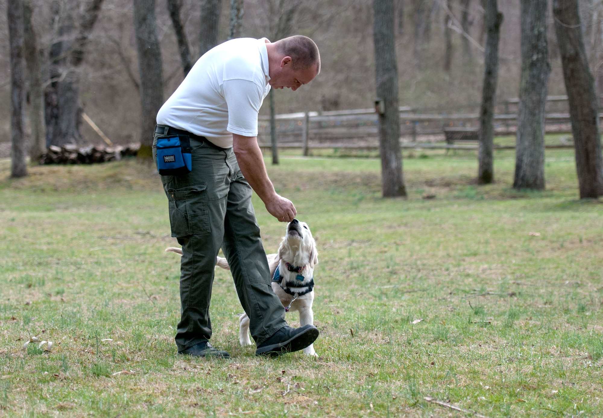 Rick Yount, the executive director of Warrior Canine Connection, trains a young golden retriever at one of the group’s sites in Brookville, Md., March 11, 2016. Wounded warriors also help instruct dogs in specialized skills for two years before they are permanently placed to help with another wounded warrior’s daily living. (U.S. Air Force photo/Sean Kimmons) 