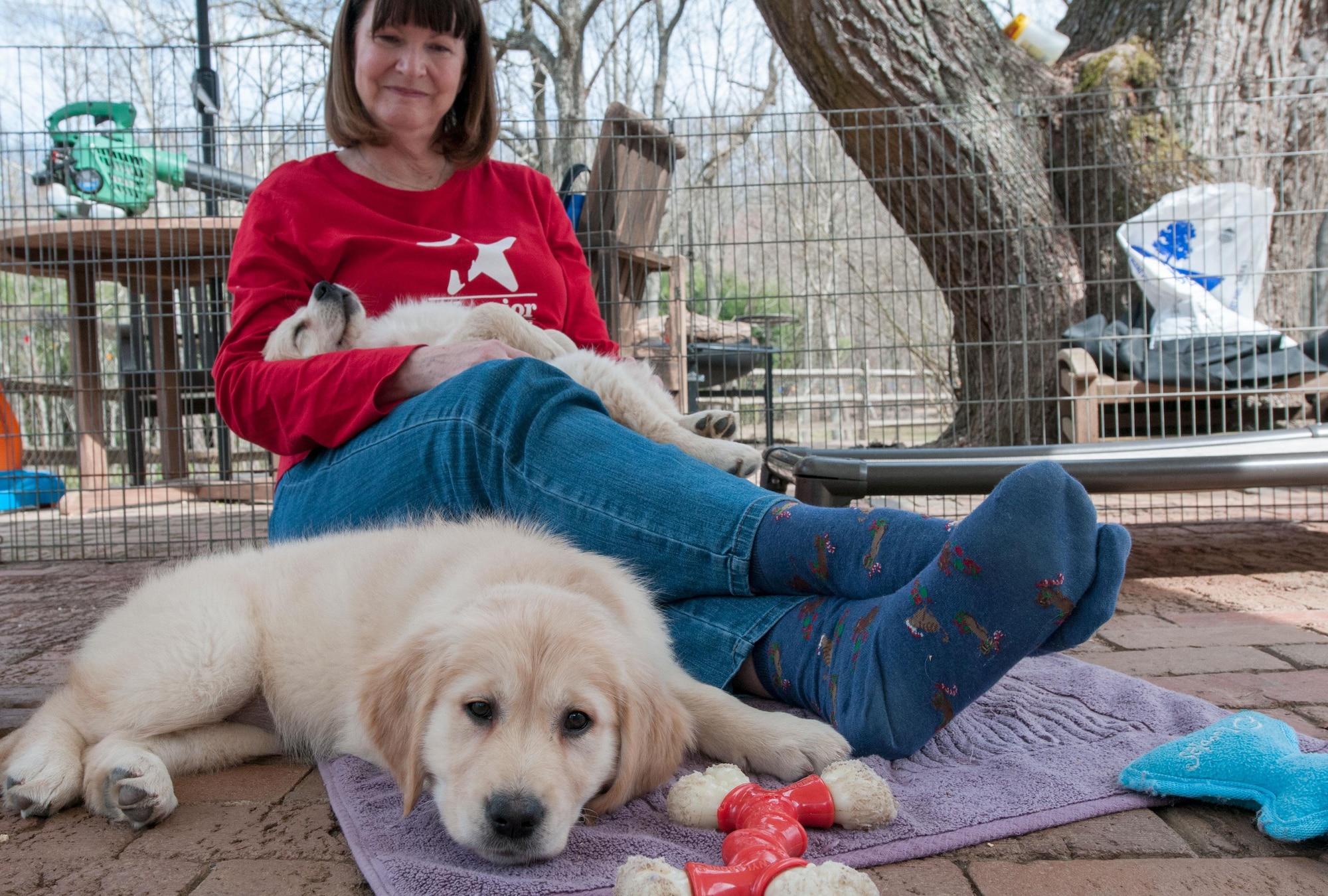 Liz Worthington, a Warrior Canine Connection volunteer, spends time with two golden retriever puppies at one of the nonprofit’s sites in Brookville, Md., March 11, 2016. Before puppies embark on a two-year training program, they get plenty of human interaction so they can be a friendly service dog for wounded warriors. (U.S. Air Force photo/Sean Kimmons) 