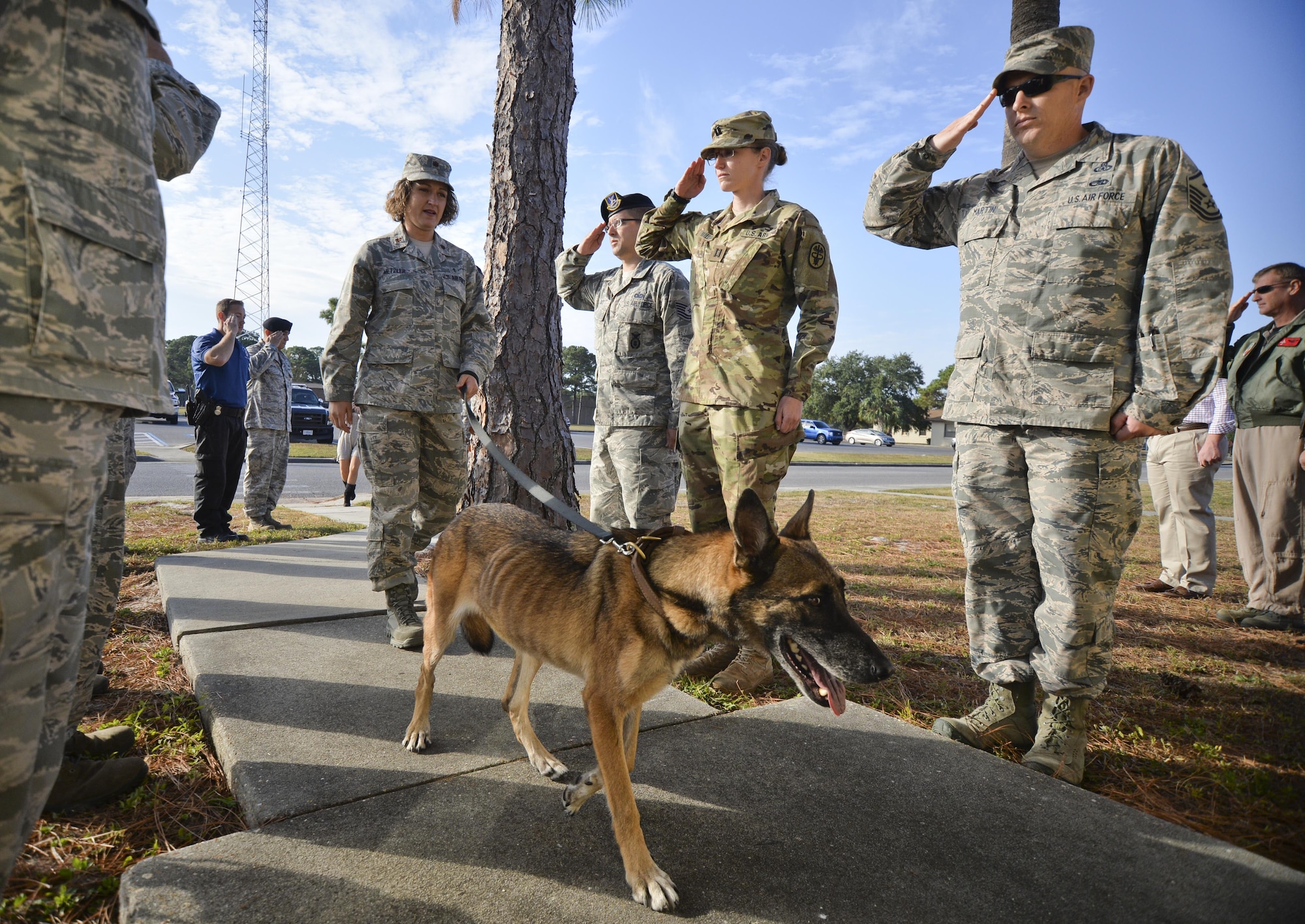 Tyndall Airmen provide a final salute to retired U.S. Air Force Military Working Dog, Mica T204, at the end of her final patrol Nov. 14, 2016 at Tyndall Air Force Base. Mica provided over 4,500 hours of counter-explosive operations and installation protection for more than 45 air assets and 7,000 military, civilian, and retired personnel. (U.S. Air Force photo by Tech. Sgt. Javier Cruz/Released)