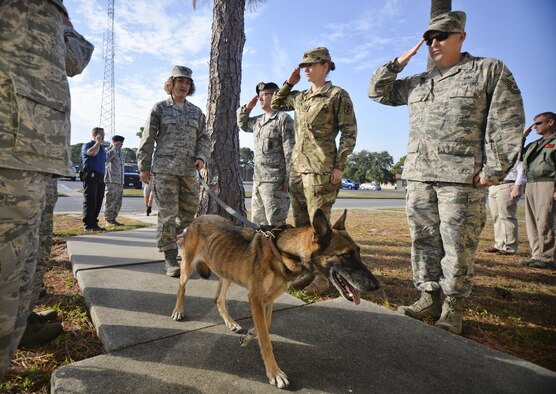 Tyndall Airmen provide a final salute to retired U.S. Air Force Military Working Dog, Mica T204, at the end of her final patrol Nov. 14, 2016 at Tyndall Air Force Base. Mica provided over 4,500 hours of counter-explosive operations and installation protection for more than 45 air assets and 7,000 military, civilian, and retired personnel. (U.S. Air Force photo by Tech. Sgt. Javier Cruz/Released)