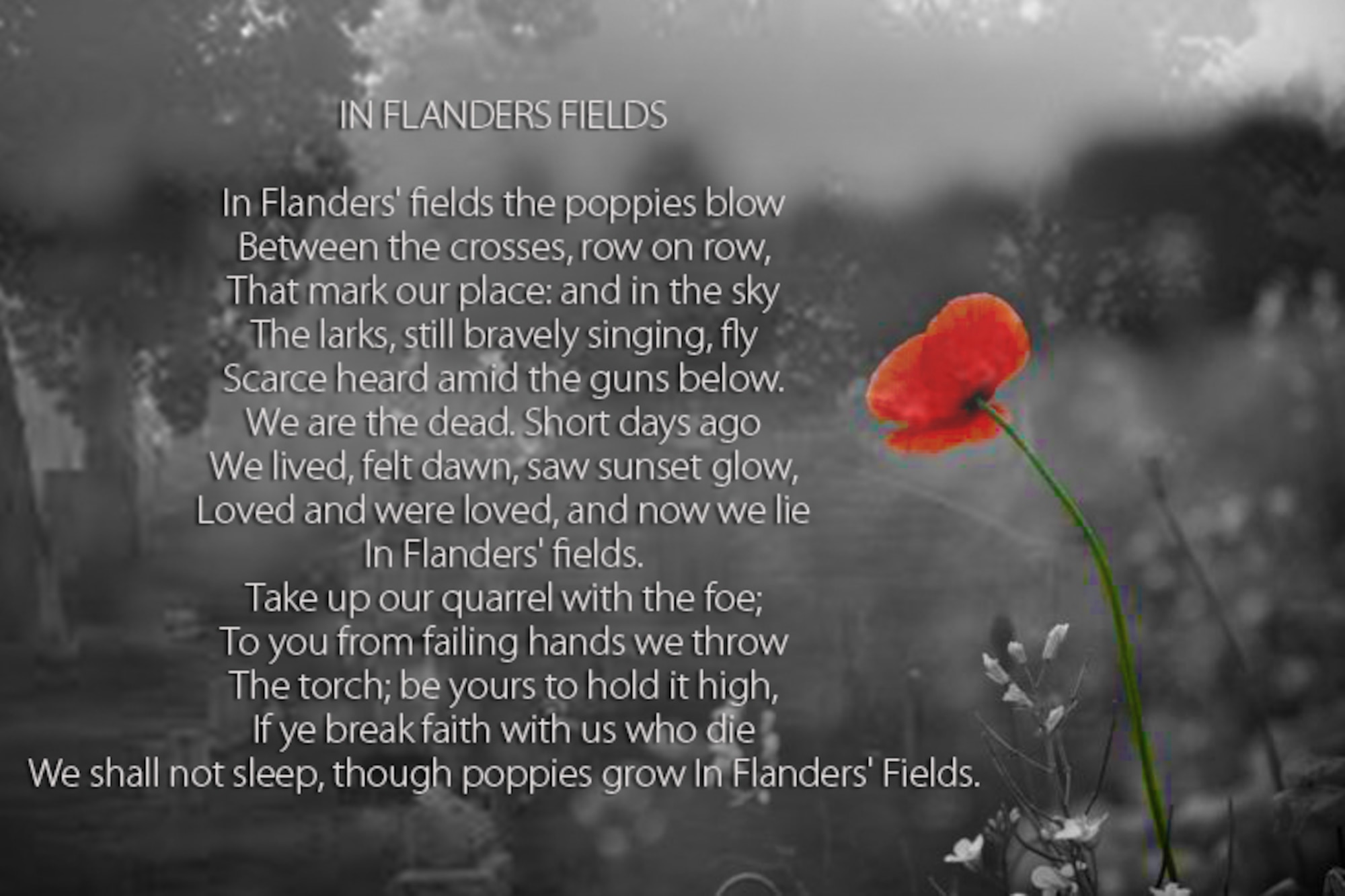 The use of the poppy was inspired by a poem called Flanders Fields, which was written by Canadian doctor, Lt. Col. John McCrae, after losing a friend during WWI. Today, the use of artificial poppies for wreathes or worn as pins is most common in the UK, New Zealand and Canada. (U.S. Air Force graphic/Senior Airman William Blankenship)