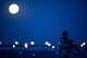A member of the 380th Air Expeditionary Wing security forces stands on a flightline near a guard tower at an undisclosed location in Southwest Asia Nov. 14, 2016. Behind the Airman a rare supermoon rises in the sky. The moon has not been closer to the Earth since Jan. 26, 1948. (U.S. Air Force photo/Senior Airman Tyler Woodward)
