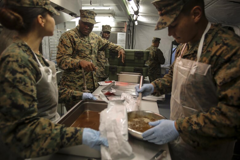 An inspector for the W.P.T. Hill award gives a suggestion to a Marine on his recipe during part of the cooking inspection at Camp Lejeune, N.C., Nov. 17, 2016. The first round of the W.P.T. Hill inspection required the Marines to prepare food for the Marines and sailors participating in the 2nd Marine Logistics Group squad competition. They were judged on their cleanliness, recipe compliance, teamwork, quality of food and execution. The Marines presenting the food are with Food Service Company, Headquarters Regiment, 2nd MLG. (U.S. Marine Corps photos by Lance Cpl. Miranda Faughn)