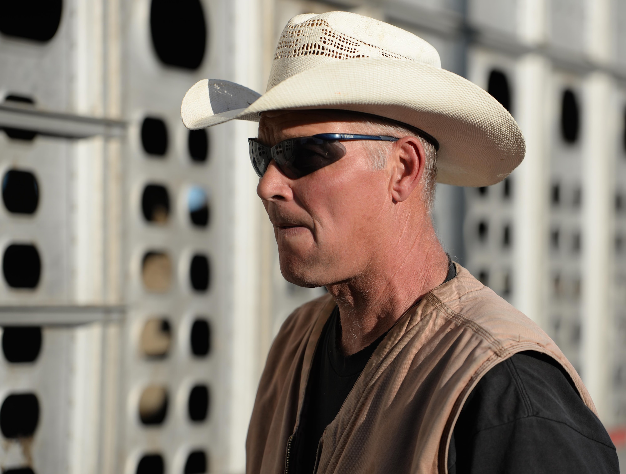 Ed Broskey, 9th Civil Engineer Squadron biological science technician, waits to unload a herd of cattle from a trailer Nov. 2, 2016, at Beale Air Force Base, California. Broskey has been working with cattle for 18 years and is known as the “Government Cowboy.” (U.S. Air Force photo/Airman Tristan D. Viglianco)