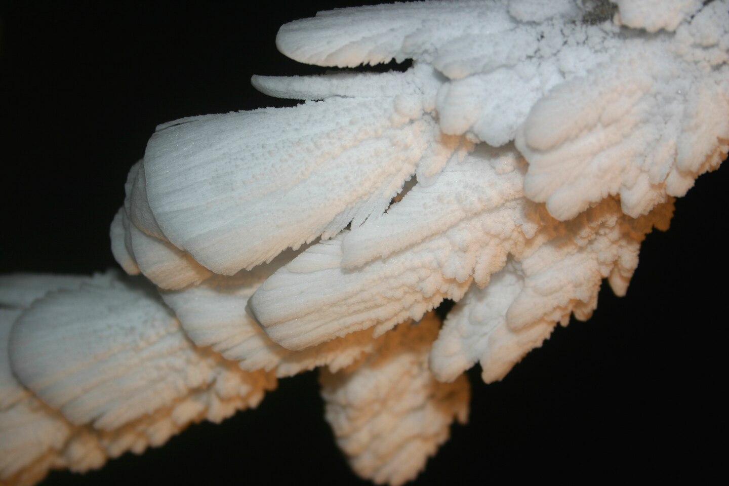 Rime ice forms grows in feather-like crystals (upper panel) from supercooled cloud droplets which freeze quickly, trapping air.