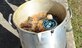 A gauge monitors the temperature of a deep frying turkey in preparation for a Thanksgiving meal at Columbus Air Force Base, Mississippi. Always remember to be aware of any safety hazards when preparing food this holiday season to avoid serious injuries. (U.S. Air Force photo by Senior Airman Kaleb Snay)