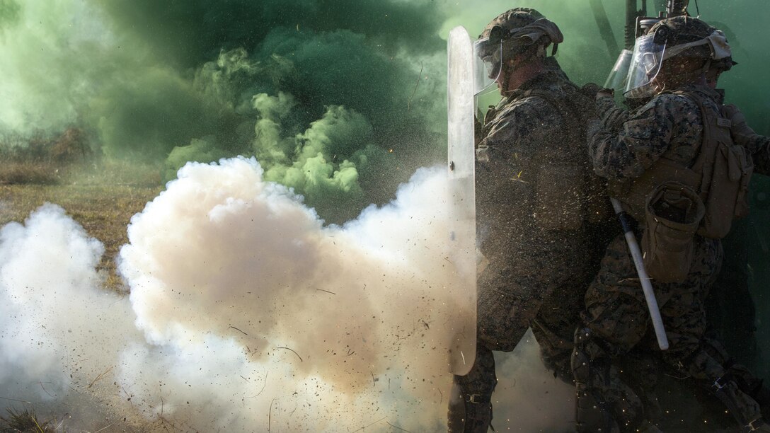 <strong>Photo of the Day: Nov. 28, 2016</strong><br/><br />Marines push through a simulated riot during a non-lethal weapons training course at Camp Lejeune, N.C., Nov. 18, 2016. Marine Corps photo by Lance Cpl. Victoria Ross<br/><br /><a href="http://www.defense.gov/Media/Photo-Gallery?igcategory=Photo%20of%20the%20Day"> Click here to see more Photos of the Day. </a>