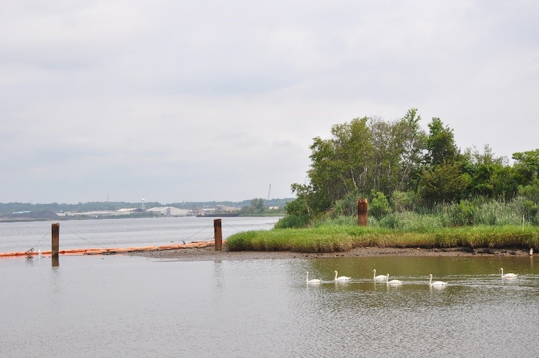 Swans swim in water free of contamination along the shore of the Raritan River in Sayreville, NJ, 30 miles southwest of New York City. Across the river in the background is the outskirts of the community of Keasbey, New Jersey. (Photo: James D’Ambrosio, Public Affairs Specialist, U.S. Army Corps of Engineers, NY District.)