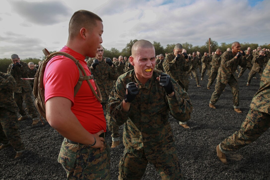 Staff Sergeant Robert Y. Lee, drill instructor, Bravo Company, 1st Recruit Training Battalion, corrects a recruit’s technique during a Marine Corps Martial Arts Program session at Marine Corps Recruit Depot Nov. 15. Drill instructors walked around during the training session to make sure each recruit was executing the technique correctly. Annually, more than 17,000 males recruited from the Western Recruiting Region are trained at MCRD San Diego. Bravo Company is scheduled to graduate Feb. 3.