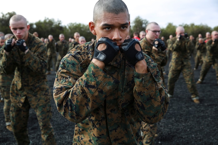 A recruit from Bravo Company, 1st Recruit Training Battalion, assumes a basic warrior stance during a Marine Corps Martial Arts Program class at Marine Corps Recruit Depot San Diego, Nov. 15. The MCMAP classes teach recruits basic hand-to-hand combat techniques and instill a warrior ethos as they transform into Marines. Annually, more than 17,000 males recruited from the Western Recruiting Region are trained at MCRD San Diego. Bravo Company is scheduled to graduate Feb. 3. 