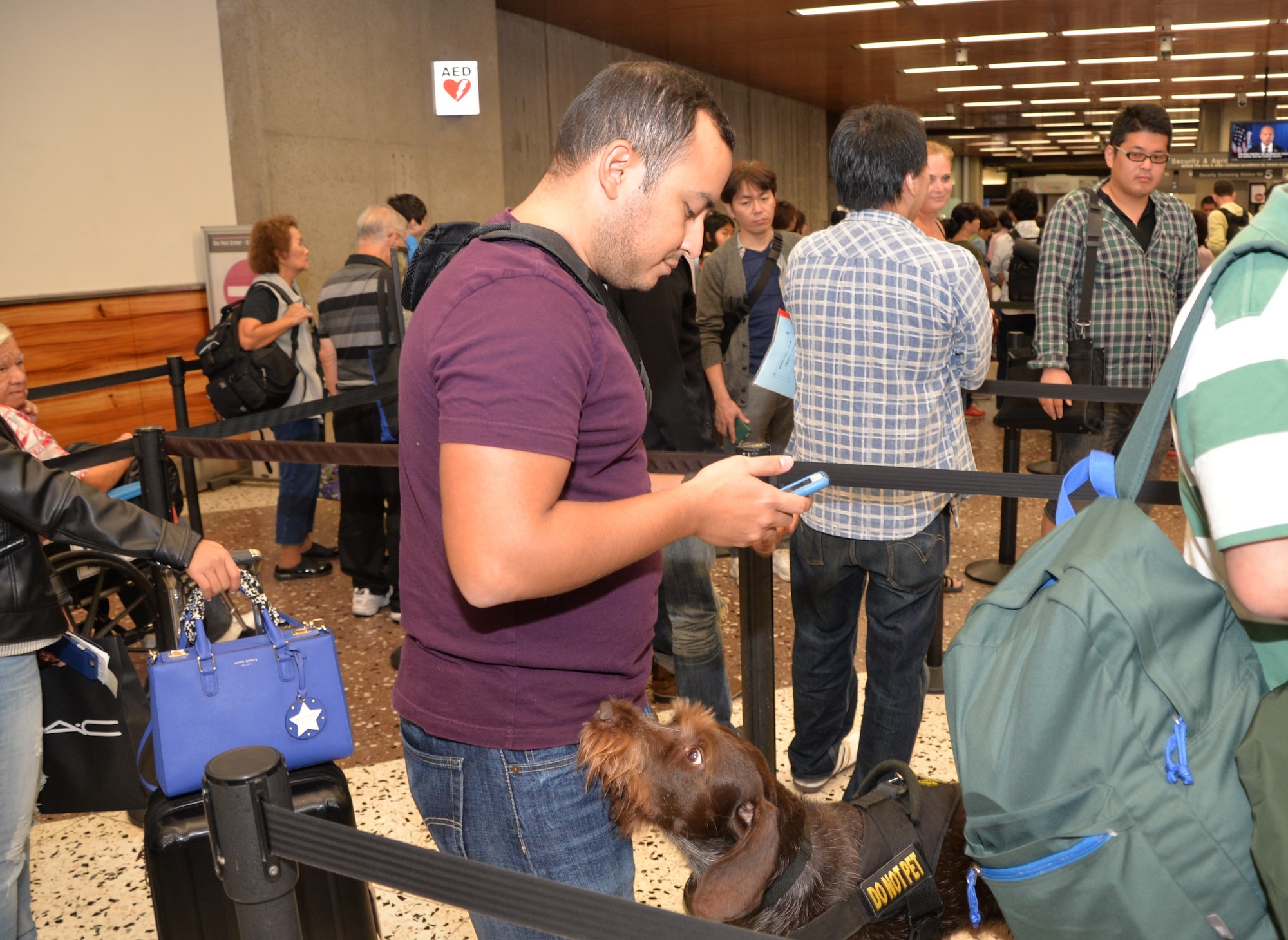 U.S. Air Force Staff Sgt. Jean Paul Zelaya-Rios, a member of the 624th Regional Support Group based out of Joint Base Pearl Harbor-Hickam, Hawaii, participates in a training scenario for Brute, a TSA explosive detection dog, who is sniffing around to locate the traveling passenger carrying explosive material through the security line at the Honolulu International Airport, Hawaii, Nov. 16, 2016. Located on Oahu and Guam, and a component of the Air Force Reserve, the 624th RSG's mission is to deliver mission essential capability through combat readiness, quality management and peacetime deployments in the Pacific area of responsibility.(U.S. Air Force photo by Master Sgt. Theanne Herrmann)