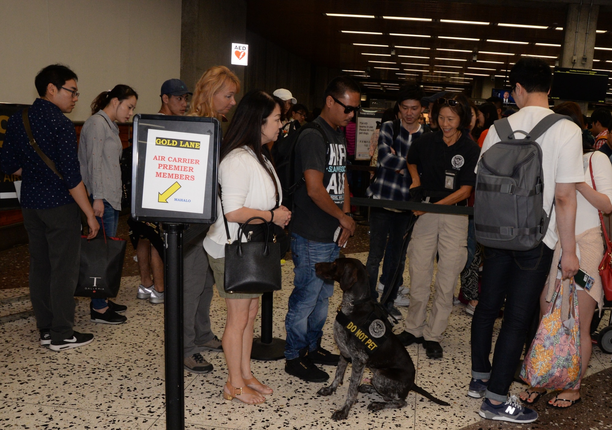 U.S. Air Force Master Sgt. Marilyn Kinoshita, a member of the 624th Regional Support Group based out of Joint Base Pearl Harbor-Hickam, Hawaii, participates in a training scenario for Zip, a TSA explosive detection dog, who is sniffing around to locate the traveling passenger carrying explosive material through the security line at the Honolulu International Airport, Hawaii, Nov. 17, 2016. Located on Oahu and Guam, and a component of the Air Force Reserve, the 624th RSG's mission is to deliver mission essential capability through combat readiness, quality management and peacetime deployments in the Pacific area of responsibility. (U.S. Air Force photo by Master Sgt. Theanne Herrmann)