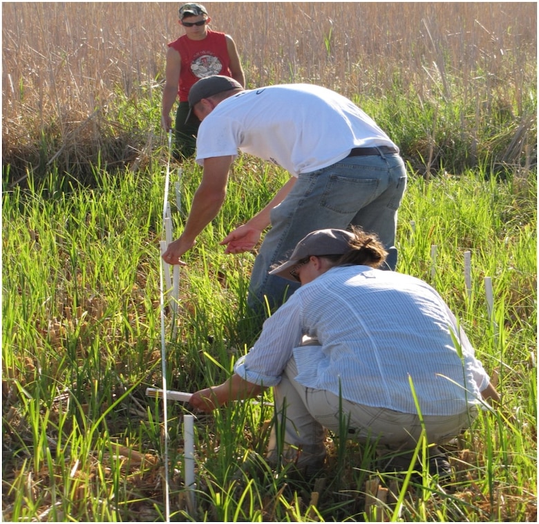 Biologist Kathleen Buckler (front) installs markers for a sampling area. 