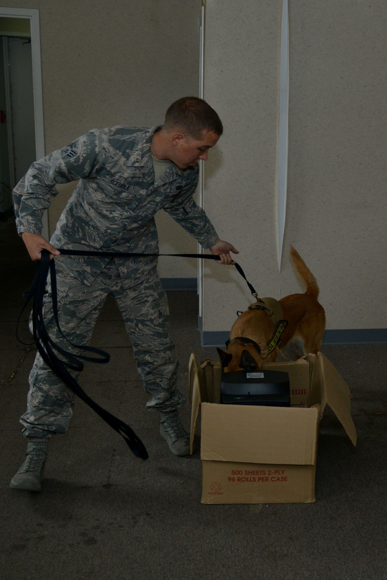 U.S. Air Force Senior Airman Brandon O’Toole, 633rd Security Forces Squadron military working dog handler, searches for explosive training aids with Oopey, a 633rd Security Forces MWD, during training at Joint Base Langley-Eustis, Va., Nov. 29, 2016. Before the dogs are sent to their duty station, they receive 90 days of training, such as obedience, detection and patrol, at Lackland Air Force Base, Texas. (U.S. Air Force photo by Airman 1st Class Tristan Biese)