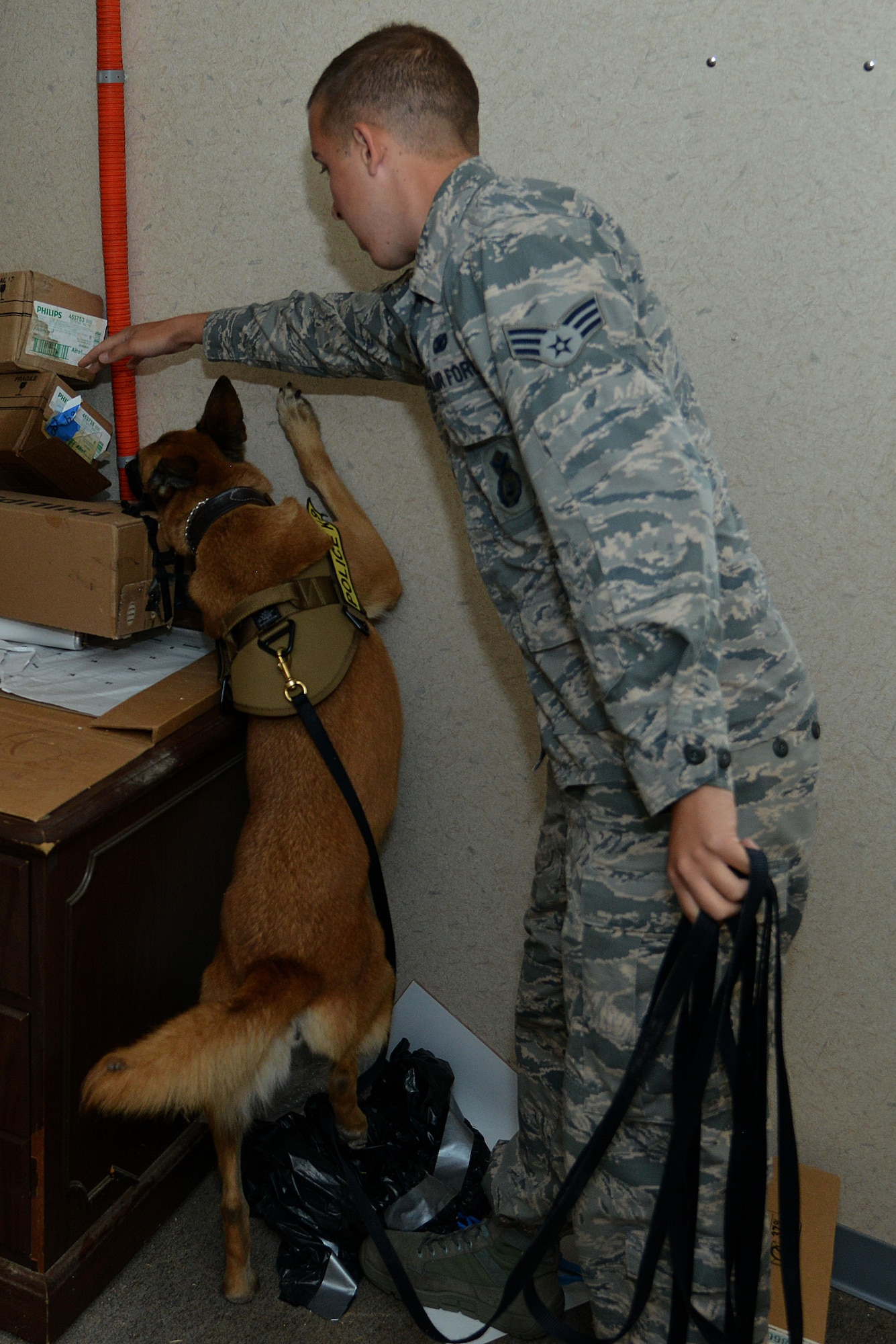U.S. Air Force Senior Airman Brandon O’Toole, 633rd Security Forces Squadron military working dog handler, searches for explosive training aids with Oopey, a 633rd SFS MWD, during training at Joint Base Langley-Eustis, Va., Nov. 29, 2016. The MWD’s are trained in different environments, such as dorm rooms, roadways and open areas to help prepare the team for a possible wartime mission. (U.S. Air Force photo by Airman 1st Class Tristan Biese)
