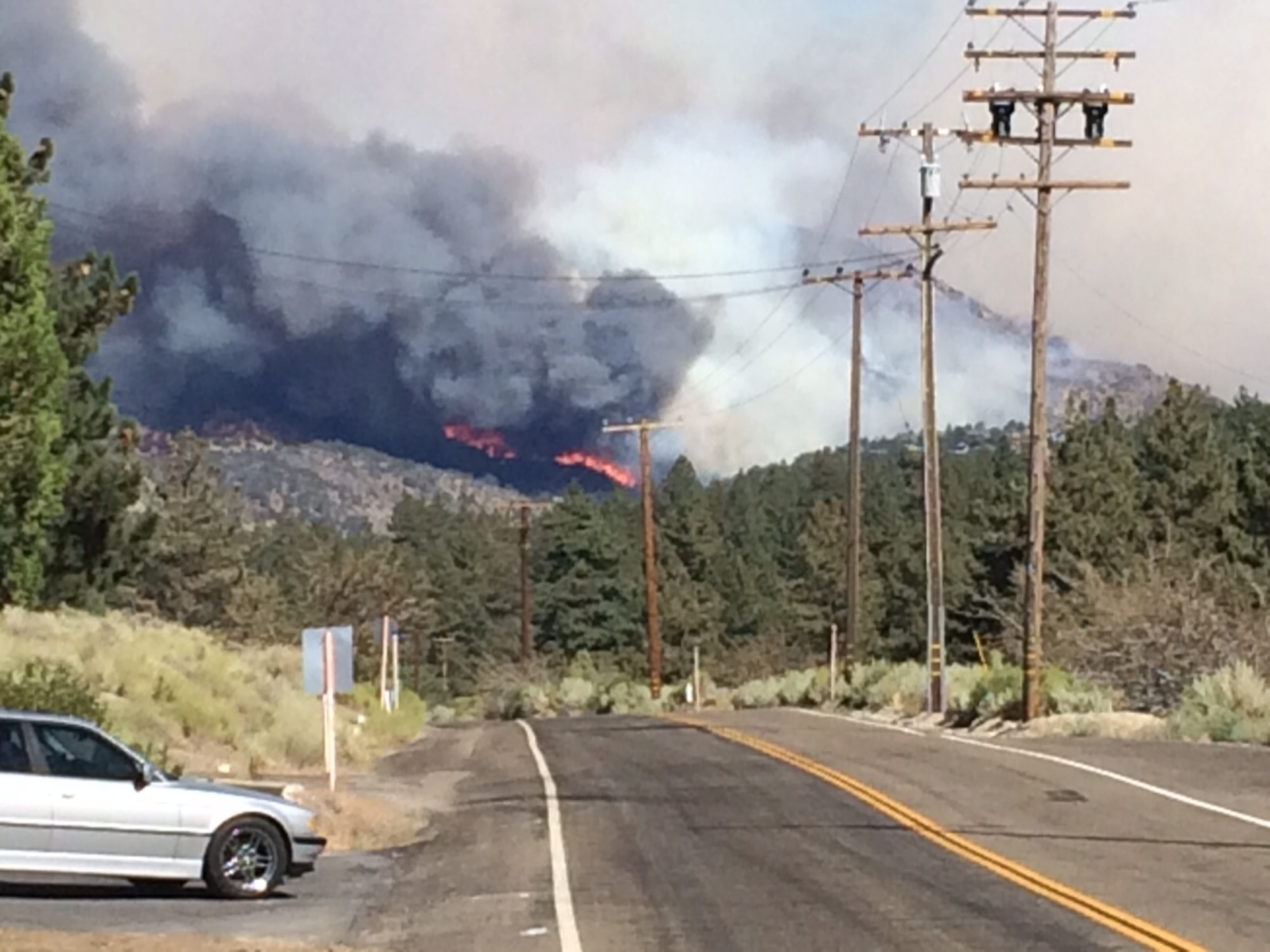 Staff Sgt. Lee Hagan, 195th Combat Weather Flight with the 146th Airlift Wing, saved neighbors pets when the Blue Cut Fire tore up the hills the afternoon of Aug. 16.It took Hagan 3½ hours to get home from the store; a drive that normally takes 35 minutes. (Courtesy Photo)