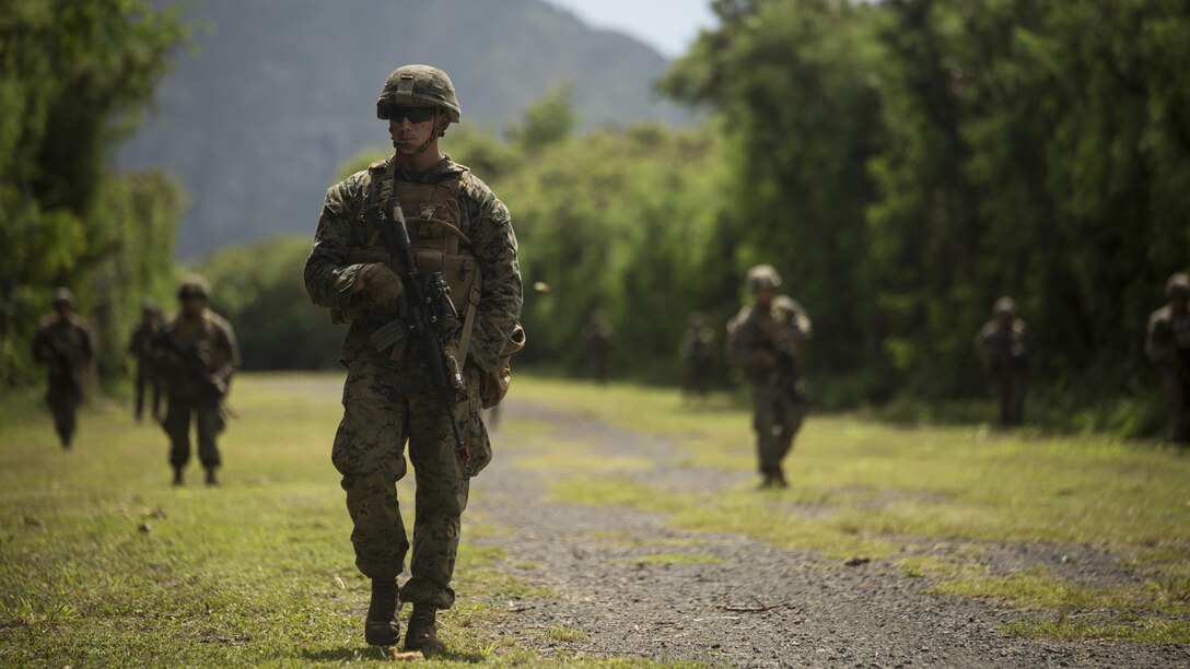 Marines from Charlie Company, 1st Battalion, 3rd Marine Regiment, conduct patrols that are part of Exercise Island Viper at Marine Corps Training Area Bellows, Sept. 27, 2016. Marines wrap up their final week of Exercise Island Viper, an annual pre-deployment training event preparing Marines for a larger exercise in the Pacific Region. During Exercise Island Viper, the Marines practiced clearing buildings, patrolling through simulated villages, solved obstacles at the Leadership Reaction Course and traversing through an Improvising Explosive Devices course.