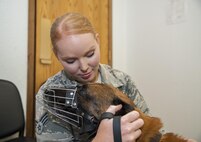 Senior Airman Ashley Miller, 319th Security Forces Squadron military working dog handler, comforts her MWD, T-Rex, during a veterinarian visit at Minot Air Force Base, N.D., Sept. 28, 2016. Six MWDs from Grand Forks AFB, N.D. had their routine check-up in which their ears, eyes, teeth, weight and heart rates were examined. (U.S. Air Force photo/Airman 1st Class Christian Sullivan)
