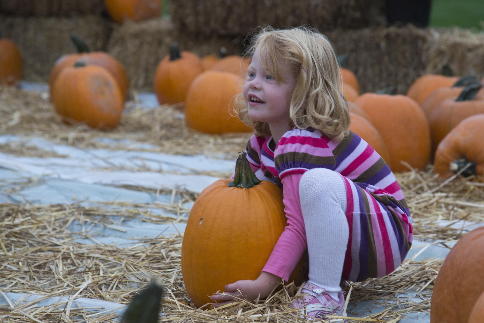 Scott is hosting this year’s Fall Festival and Chili Cook-off on Oct. 21 from 3-6 p.m. at the Parade Field. The day will feature a bounce house, face painting, hay mazes, hay rides, popcorn and cotton candy, a petting zoo, chili dinner and hot dogs, pumpkin picking, a cake walk, a bier garten, a pumpkin toss (4 p.m.), a bake off, games, awards and prizes, and live music from Band of Mid-America Starlifter. To enter the Chili Cook-off, bake-off, trebuchet competition, to volunteer, or for more information, please call the Chapel at 256-4060. All participants in the chili cook-off must attend the food preparation briefing on Oct. 7 or 14 at 2 p.m. Those interested in the pumpkin toss contest must enter by Oct. 7 and it is based on a first come, first serve basis. 