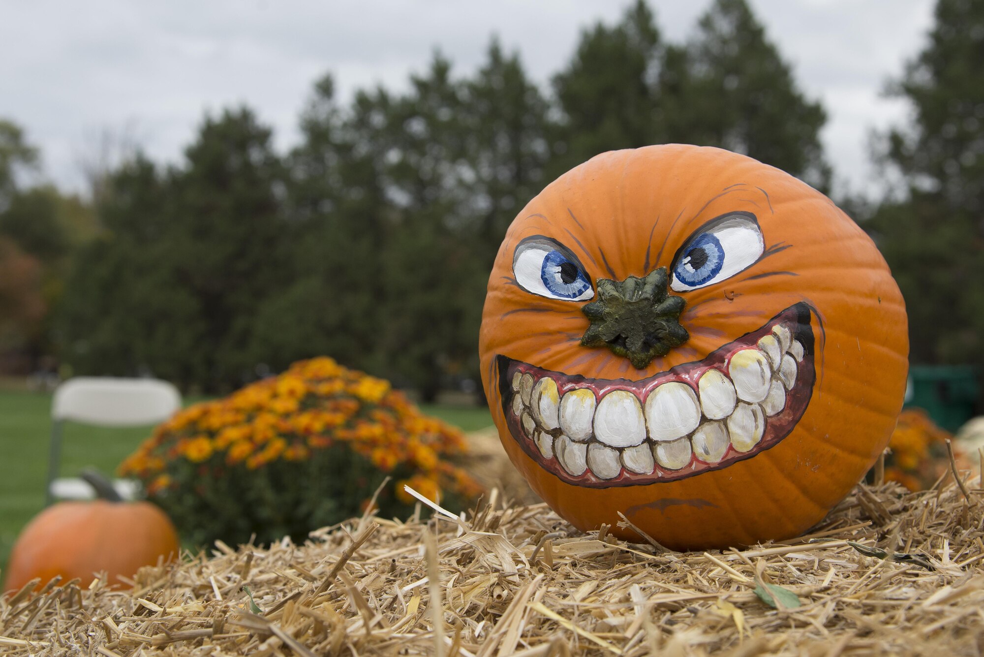Scott is hosting this year’s Fall Festival and Chili Cook-off on Oct. 21 from 3-6 p.m. at the Parade Field. The day will feature a bounce house, face painting, hay mazes, hay rides, popcorn and cotton candy, a petting zoo, chili dinner and hot dogs, pumpkin picking, a cake walk, a bier garten, a pumpkin toss (4 p.m.), a bake off, games, awards and prizes, and live music from Band of Mid-America Starlifter. To enter the Chili Cook-off, bake-off, trebuchet competition, to volunteer, or for more information, please call the Chapel at 256-4060. All participants in the chili cook-off must attend the food preparation briefing on Oct. 7 or 14 at 2 p.m. Those interested in the pumpkin toss contest must enter by Oct. 7 and it is based on a first come, first serve basis. 