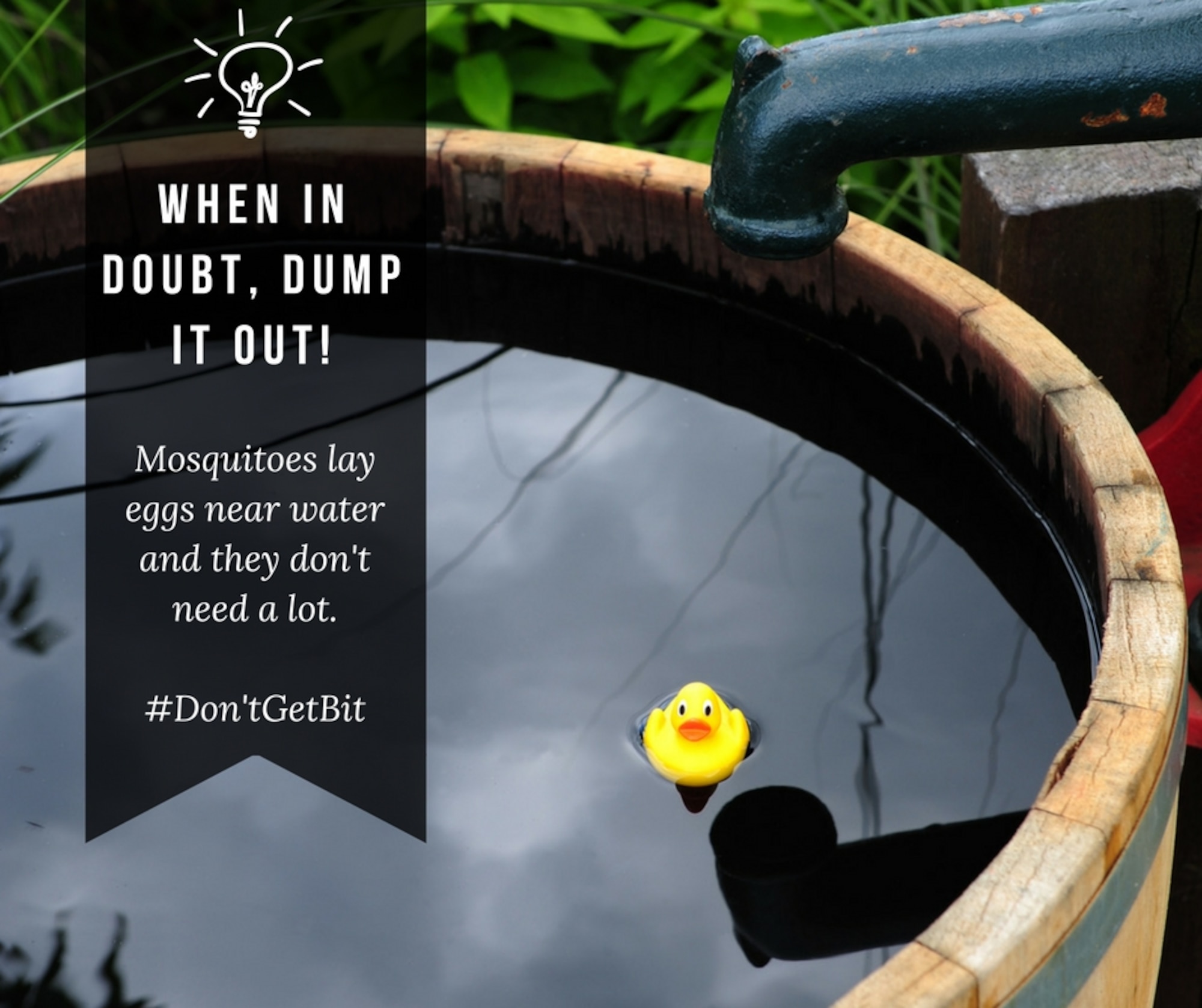 When in doubt, dumpt it out! (Courtesy graphic)