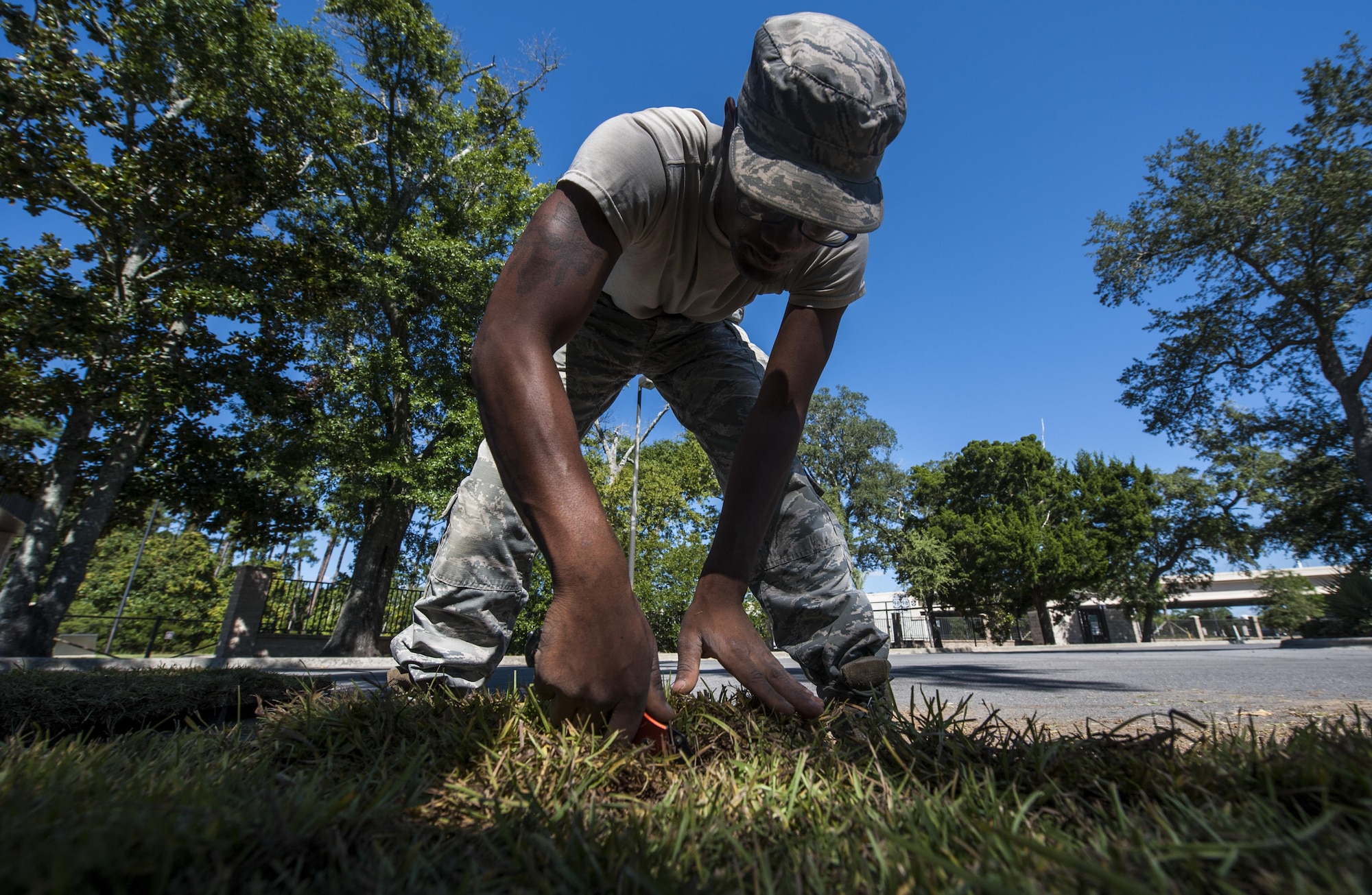 Senior Airman Samuel Garnett, a pavement and heavy equipment specialist with the 1st Special Operations Civil Engineer Squadron, cuts sod to the proper size at Hurlburt Field, Fla., Oct. 4, 2016. Sod is used to replace dead grass and is effective in increasing cooling, improving air and water quality, and assisting in flood prevention by draining water. (U.S. Air Force photo by Airman 1st Class Joseph Pick)